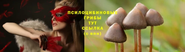 молекула духа Краснослободск