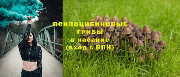 сатива Красноперекопск