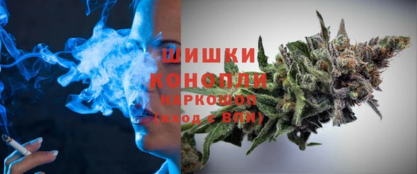 молекула духа Краснослободск