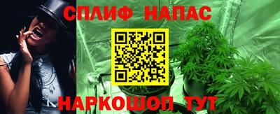 не бодяженный Камышлов