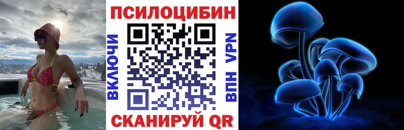 Галлюциногенные грибы Psilocybe  Сургут 