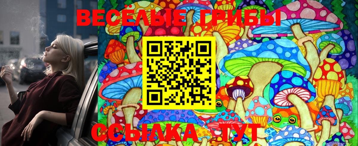 Псилоцибиновые грибы мицелий  Сургут 