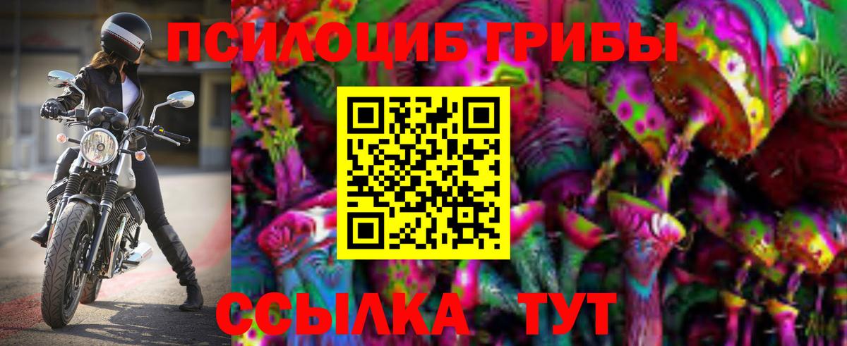 Сургут  Псилоцибиновые грибы MAGIC MUSHROOMS  Вход с VPN  Галлюциногенные грибы Psilocybine cubensis 